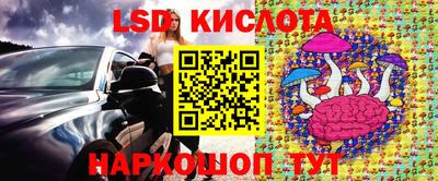PSILOCYBIN Кулебаки