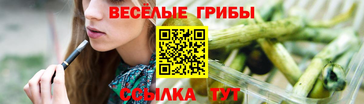 Каспийск  Галлюциногенные грибы ЛСД  продажа наркотиков  Вход с VPN 